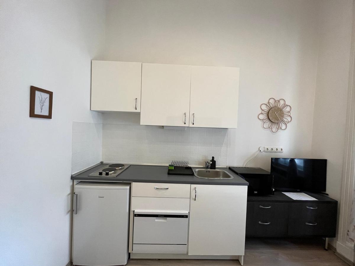 בודפשט D58 Superior Apartments In The City Center מראה חיצוני תמונה