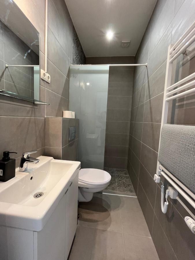 בודפשט D58 Superior Apartments In The City Center מראה חיצוני תמונה